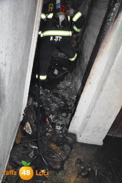 fireshekonatelarab (10).JPG